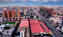 石家庄爆料逆行案件最新,惊险瞬间，交通法规再敲警钟