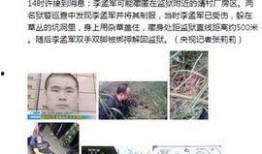 广东监狱爆料事件始末最新消息,真相与争议交织的监狱改革风云