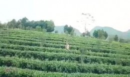 渔乐圈最新爆料消息,最新爆料事件深度解析