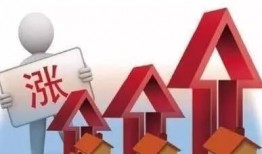 石家庄爆料逆行案件最新,惊险瞬间，交通法规再敲警钟